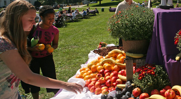 Students picking up fruit