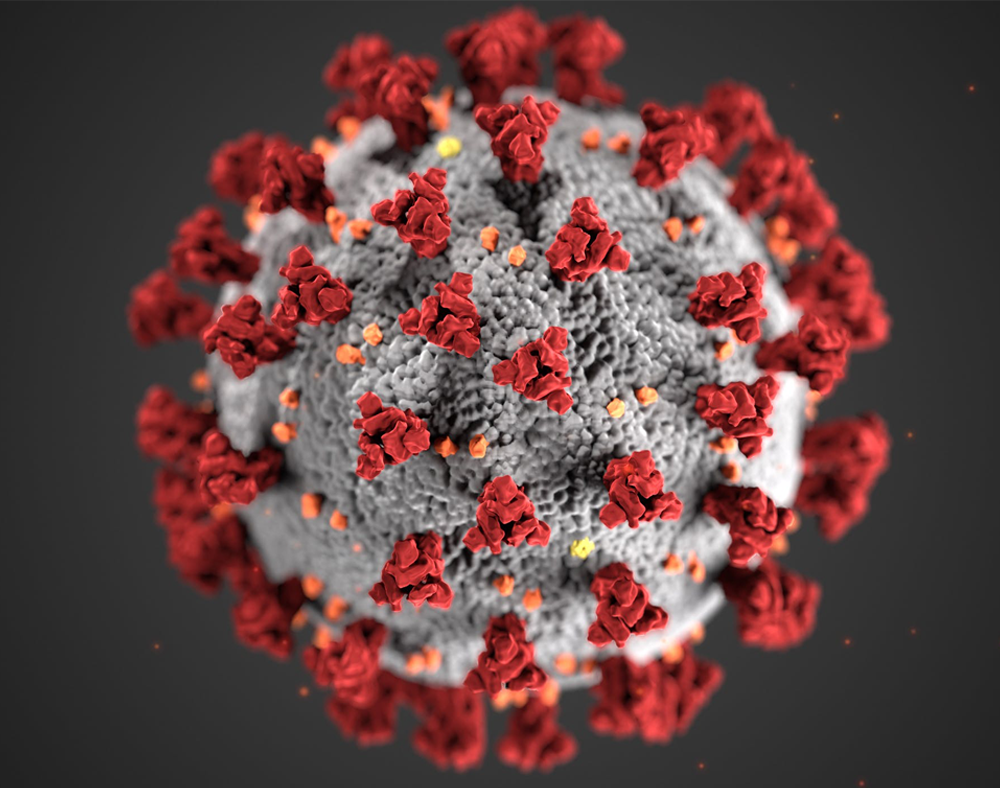 health-_0001_Covid1
